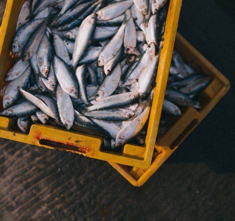 Introducing diversity of supply to increase farmers’ resilience