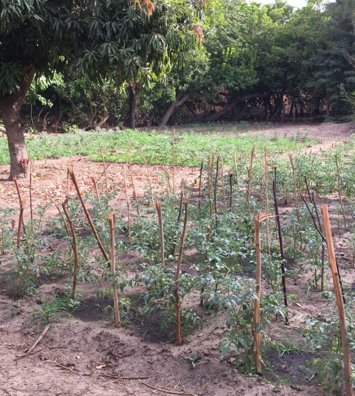 Improving performance and quality of farming practices