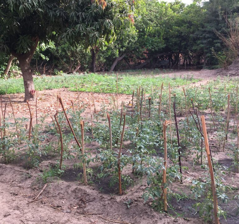 Improving performance and quality of farming practices