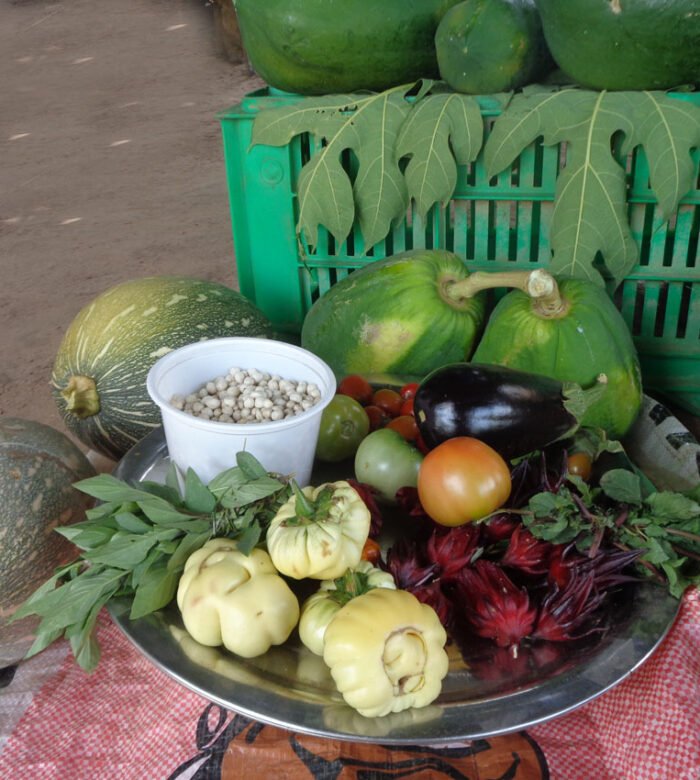 Strengthening local capacities for competitive market accessibility