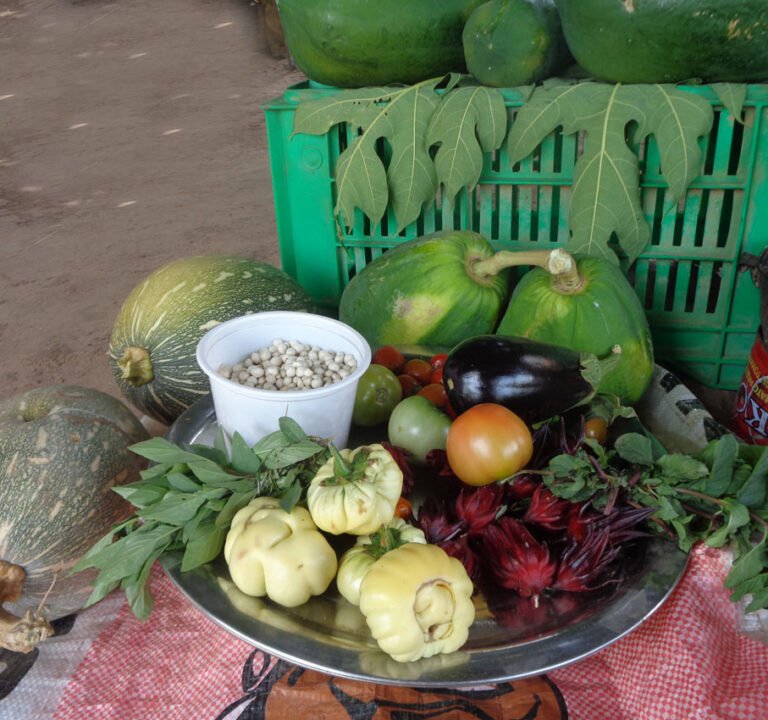 Strengthening local capacities for competitive market accessibility